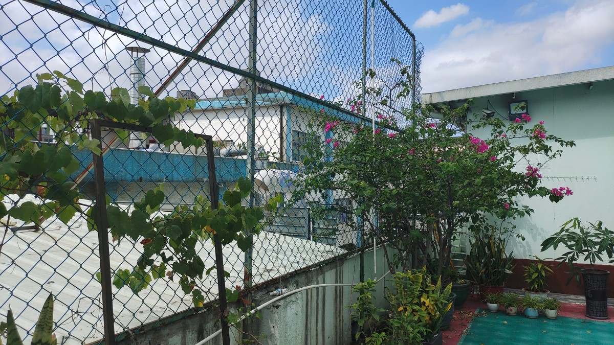 6Eeec4385583C3270Bbb0058C6F3Ab17 图片