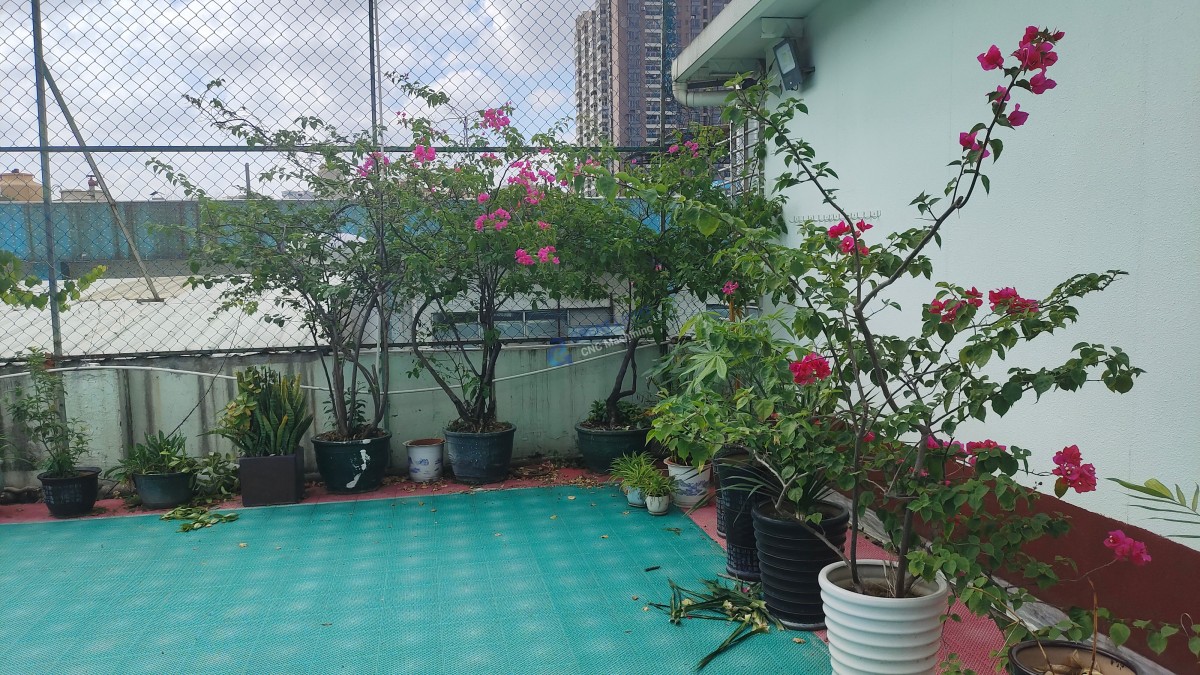 高尔夫数控加工,究竟藏着啥核心秘诀? 2 图片